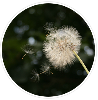 Inspiratie meeting loslaten